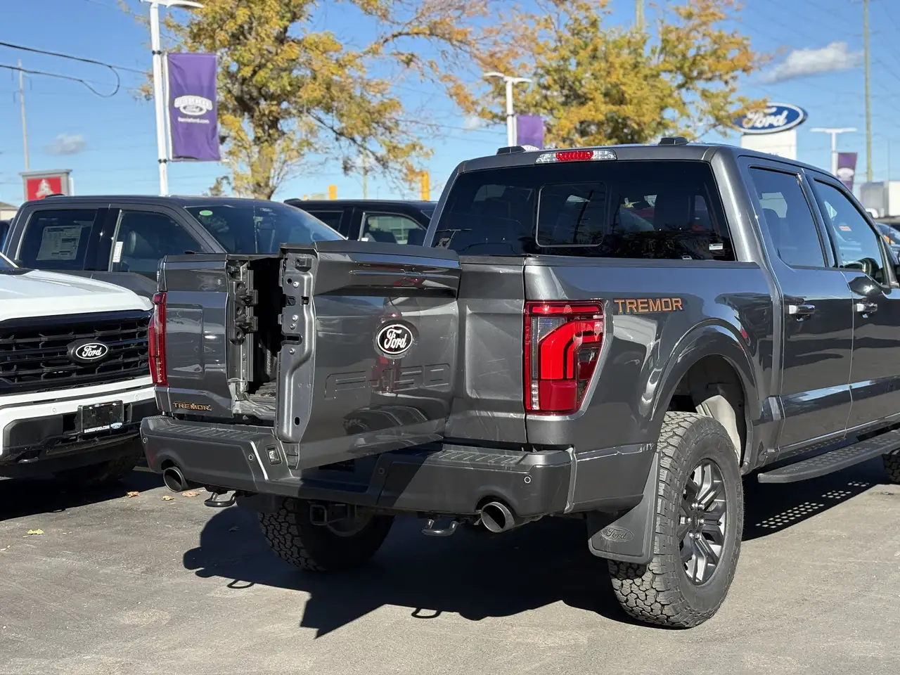 Ford F-150 - Image 9