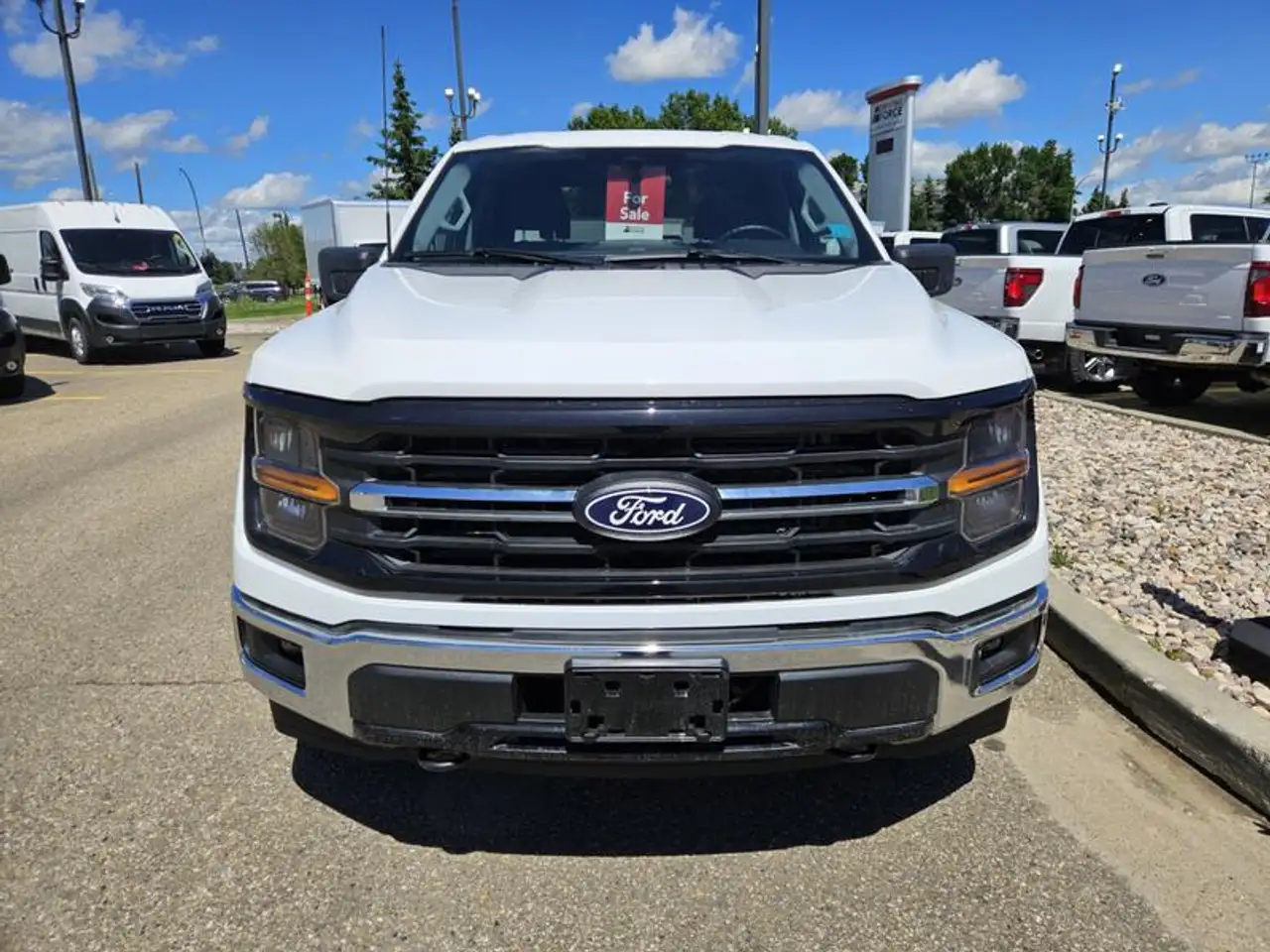 Ford F-150 - Image 9