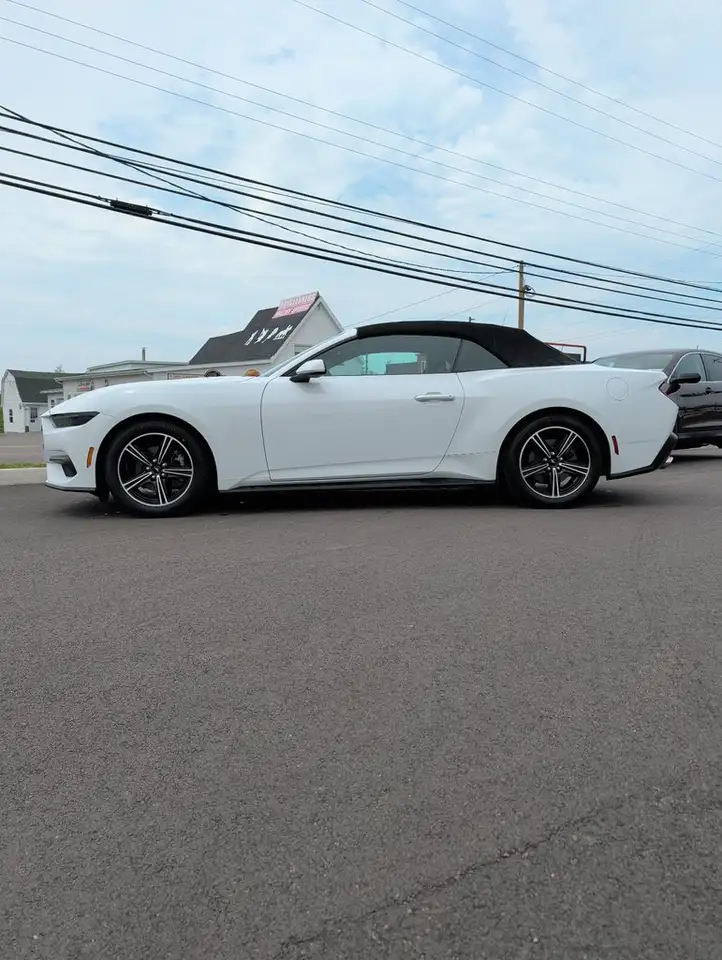 Ford Mustang - Image 4