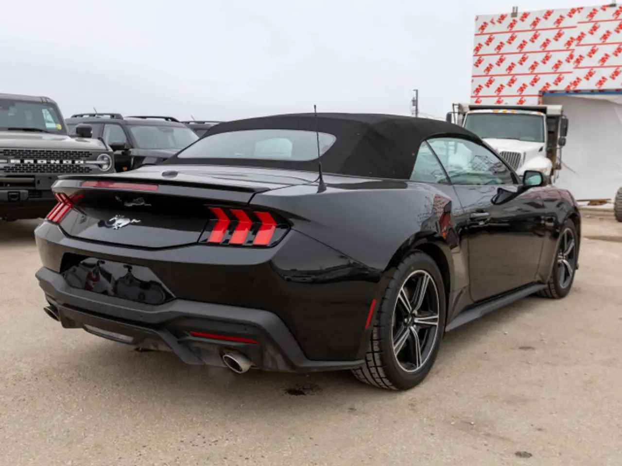 Ford Mustang - Image 4