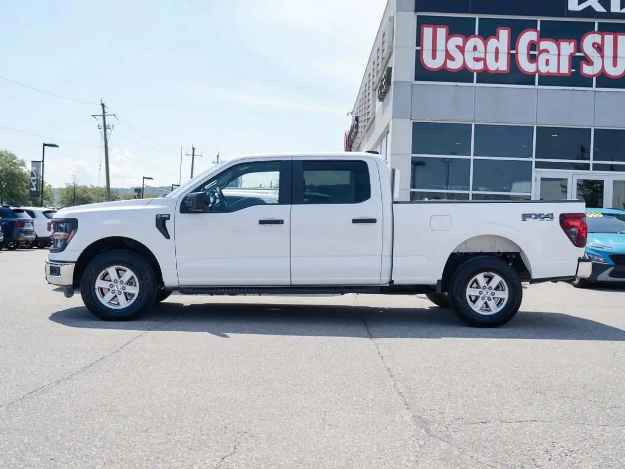 Ford F-150 - Image 3