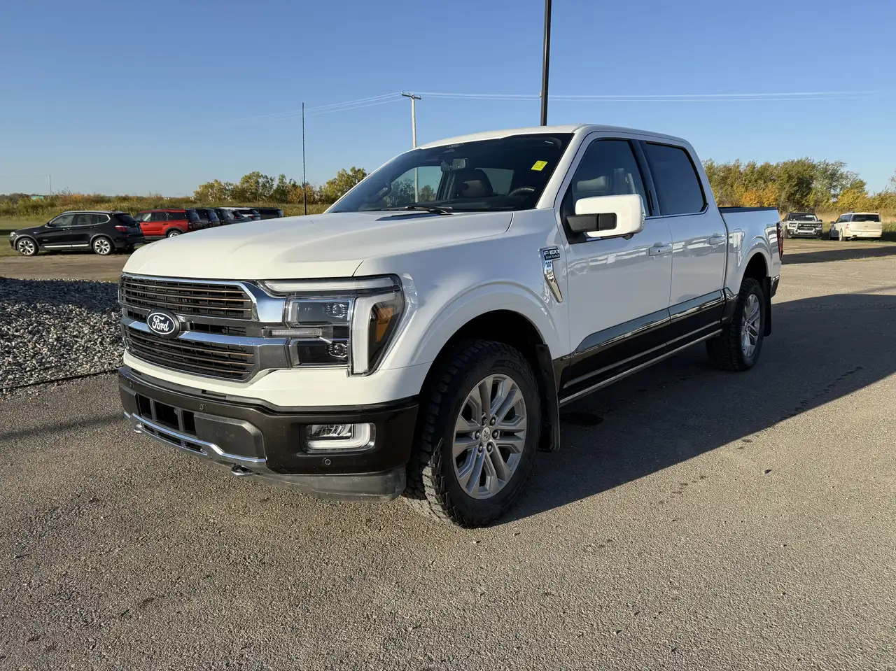 Ford F-150 - Image 3