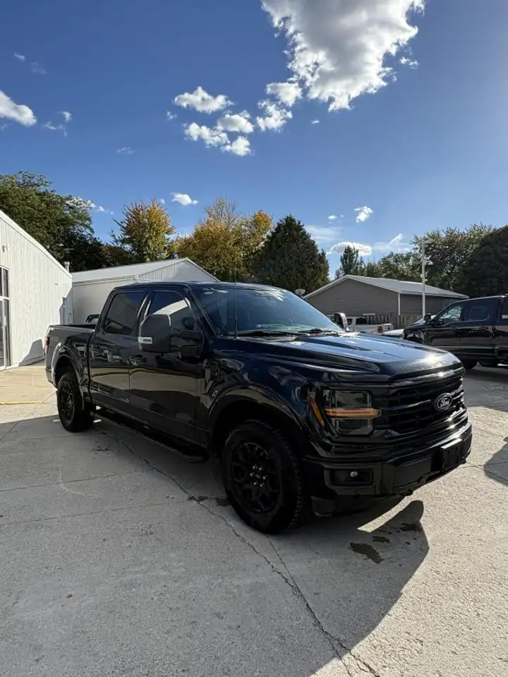 Ford F-150 - Image 3