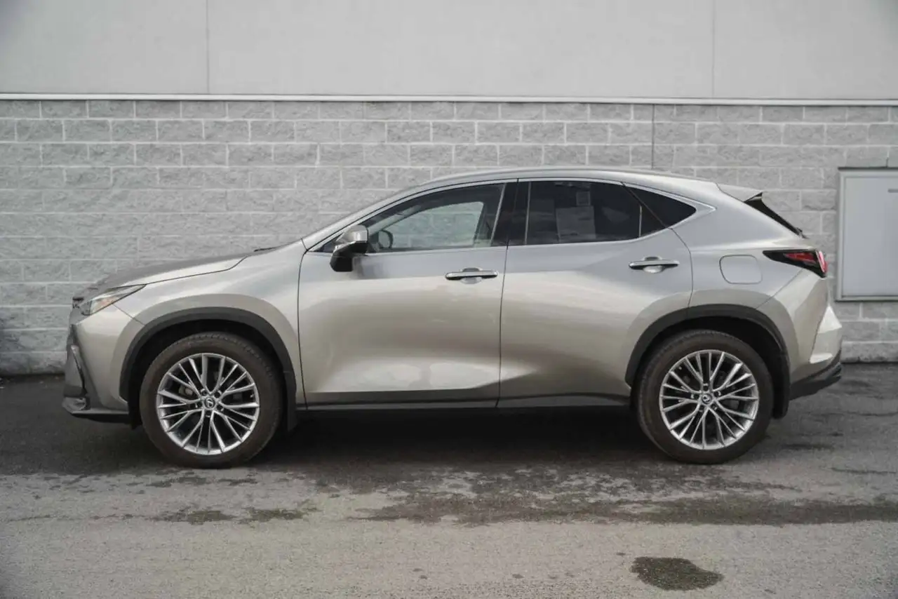 Lexus NX - Image 5