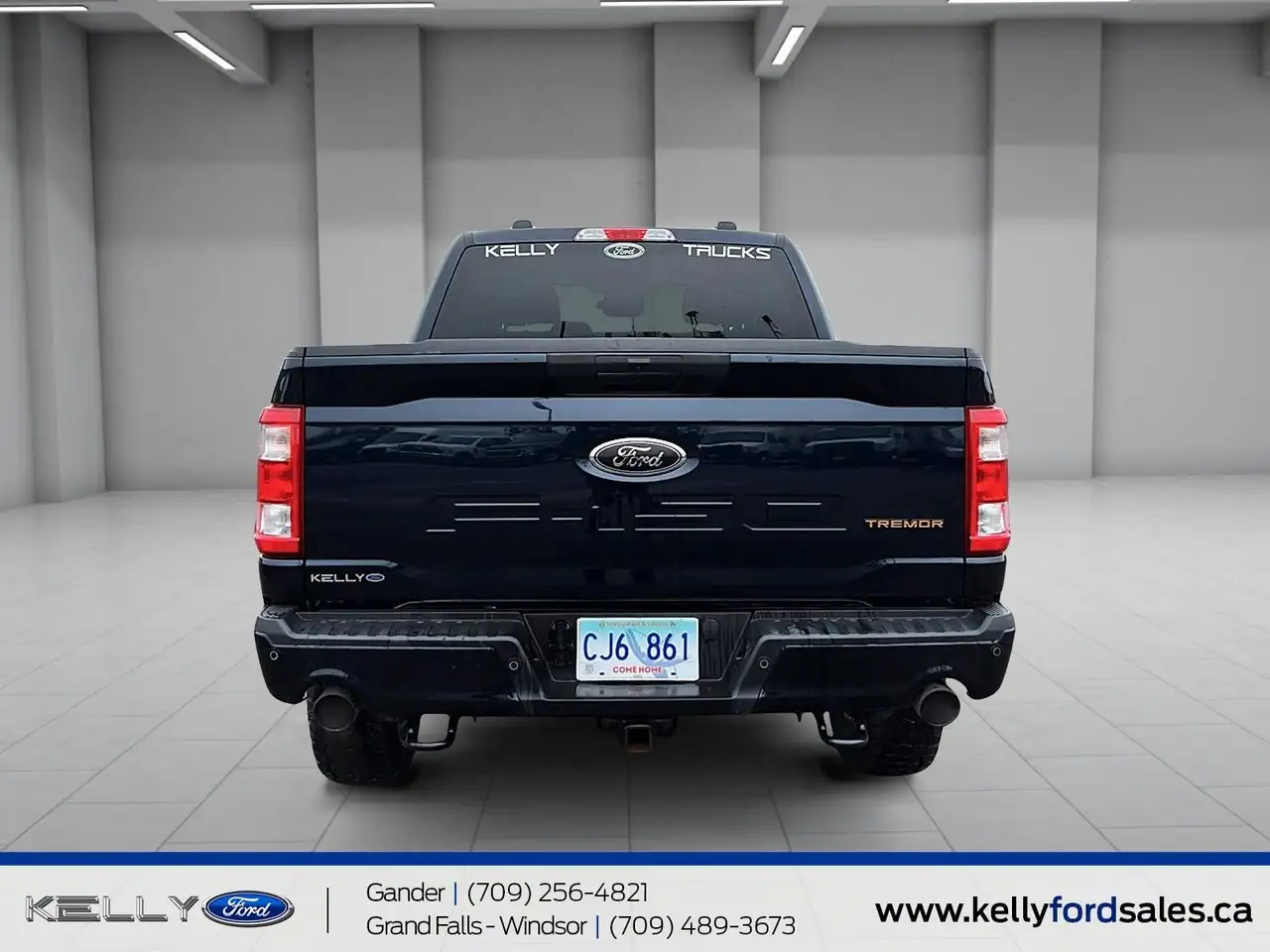 Ford F-150 - Image 3