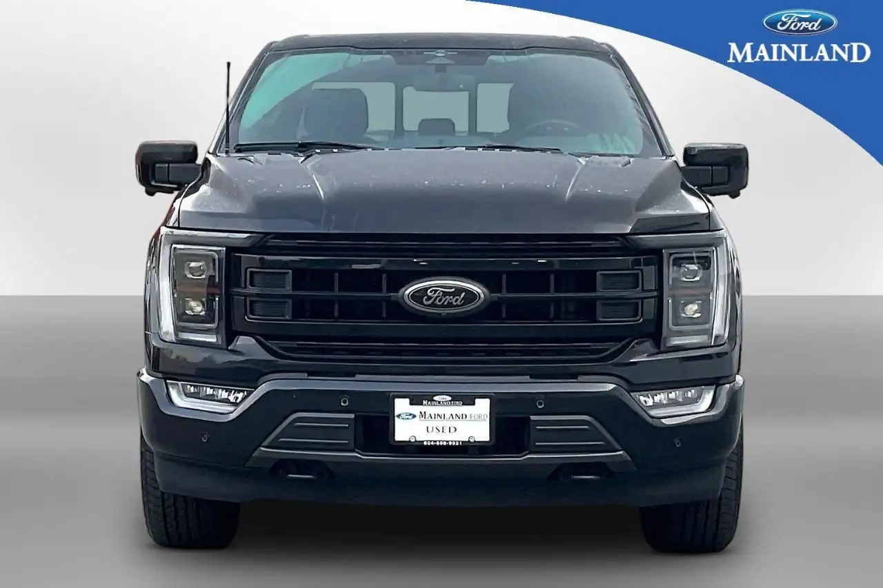 Ford F-150 - Image 4