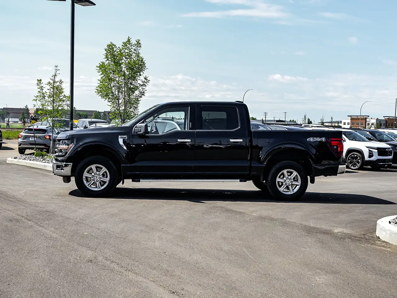 Ford F-150 - Image 10