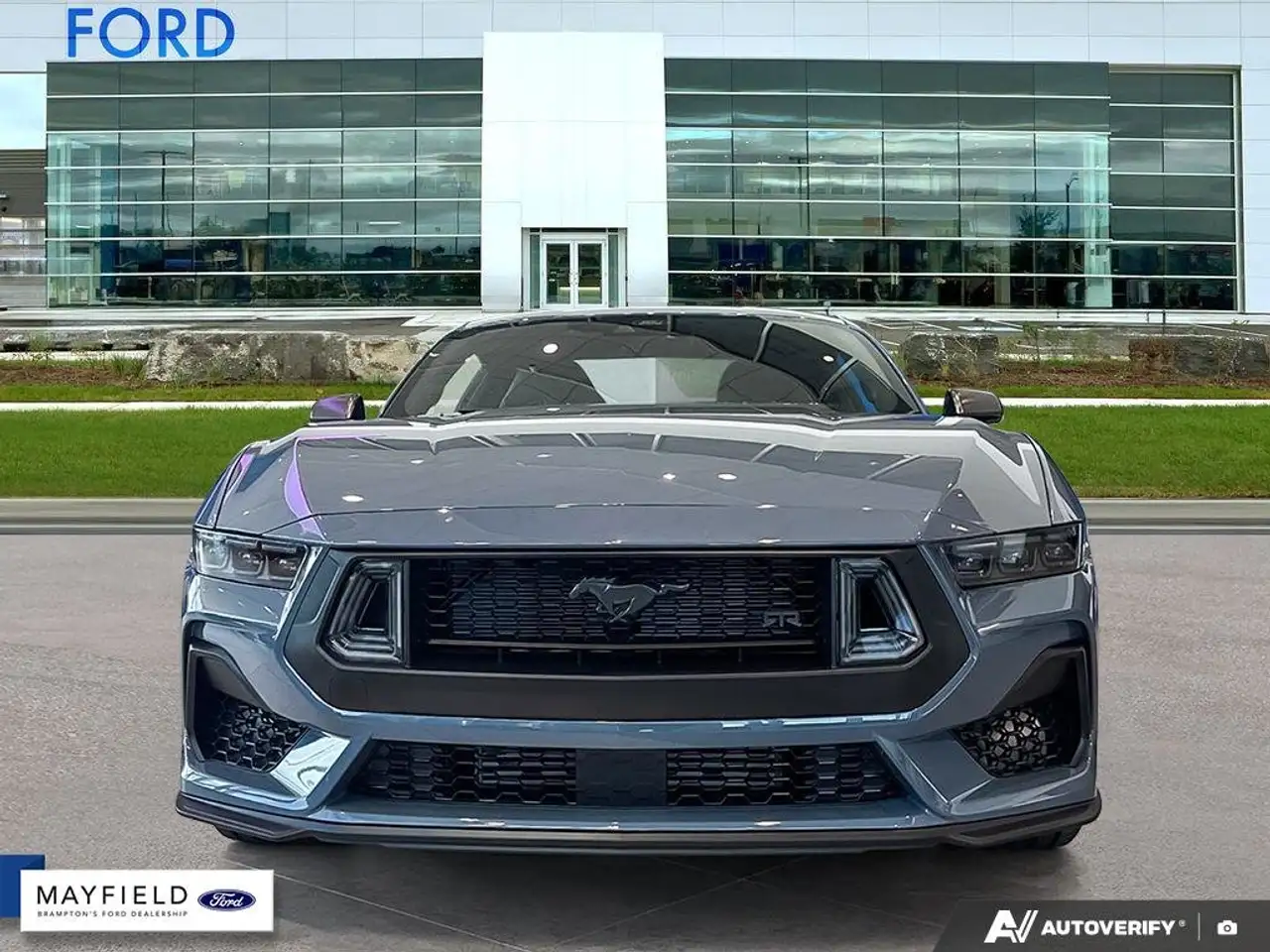 Ford Mustang - Image 2