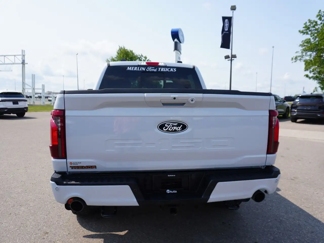 Ford F-150 - Image 6