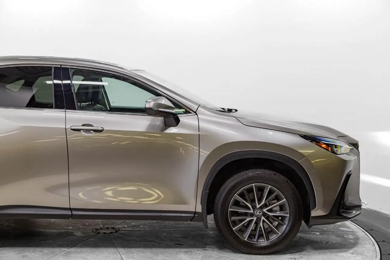 Lexus NX 350 - Image 12