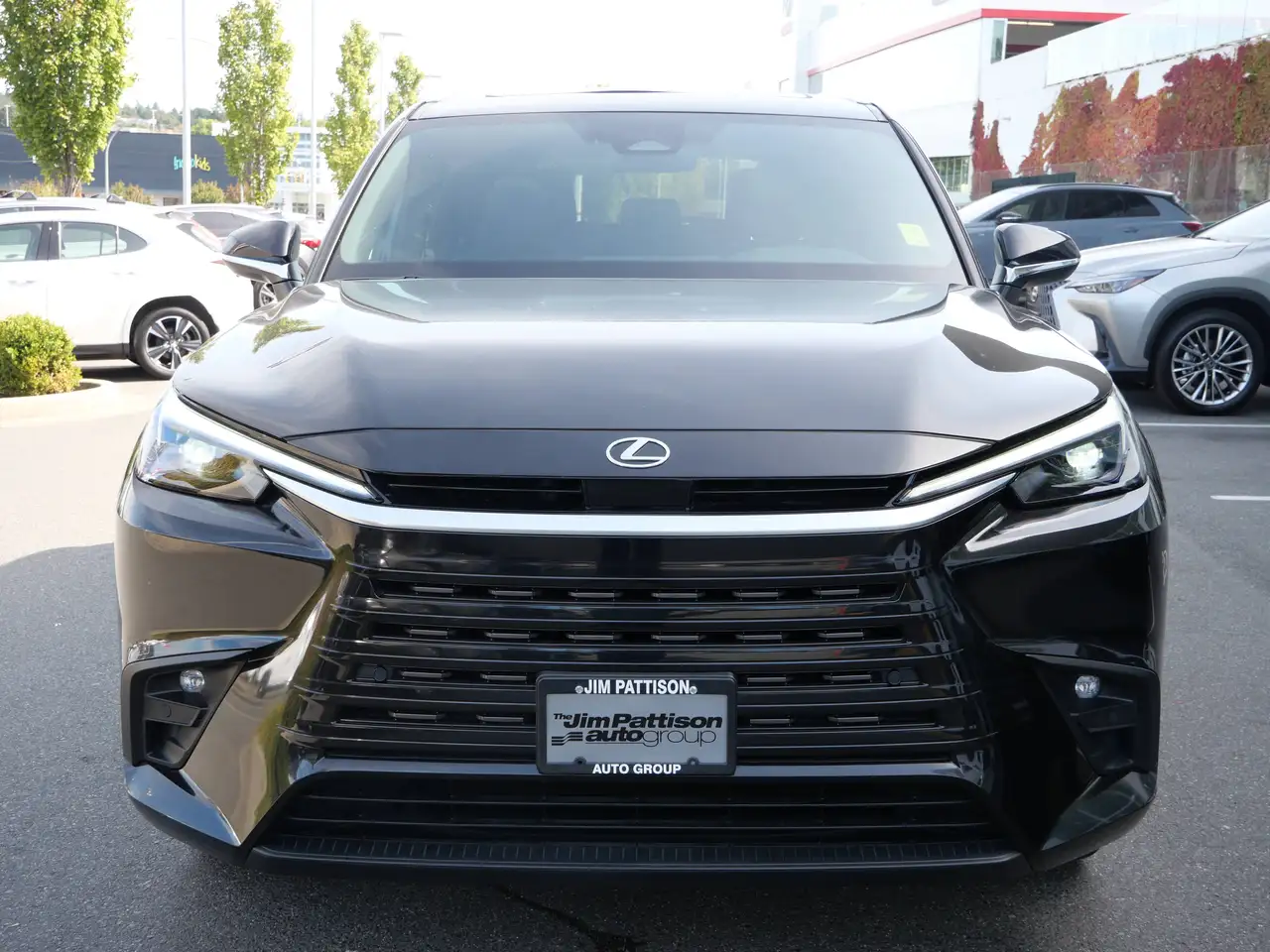 Lexus TX - Image 3
