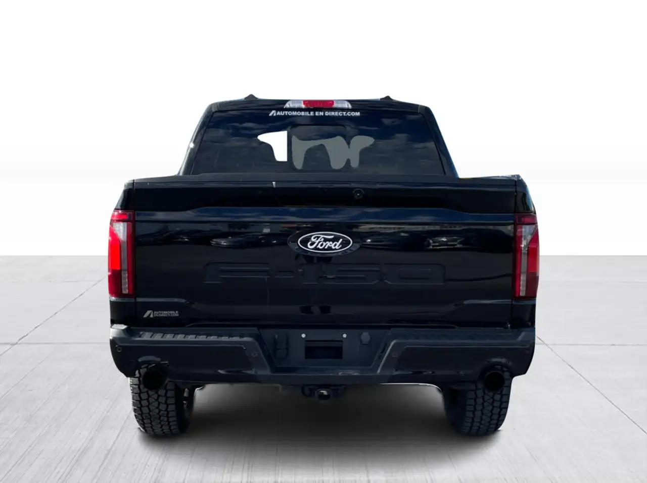 Ford F-150 - Image 14