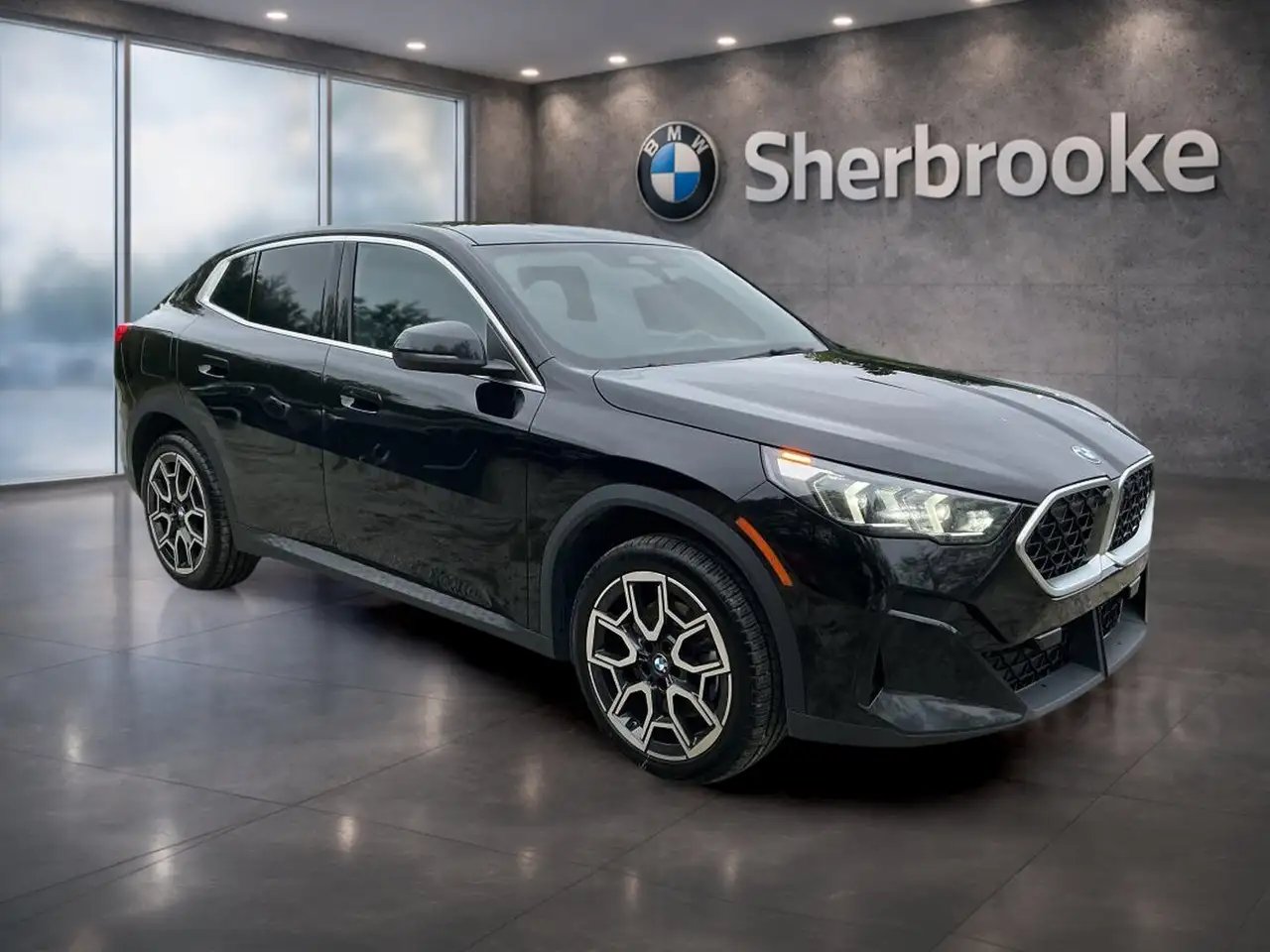 BMW X2 - Image 3