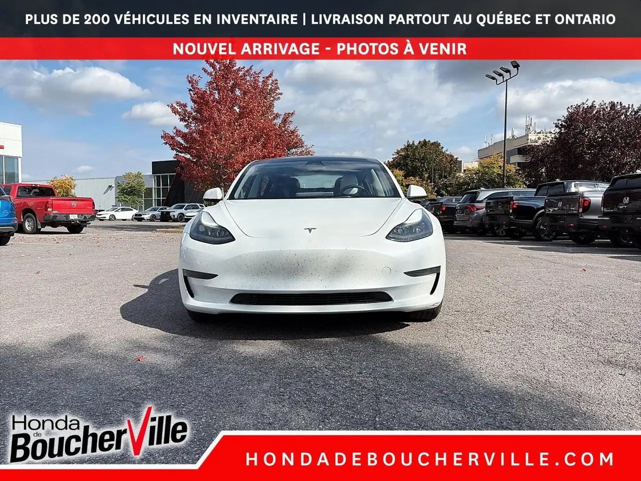Tesla Model 3 - Image 13