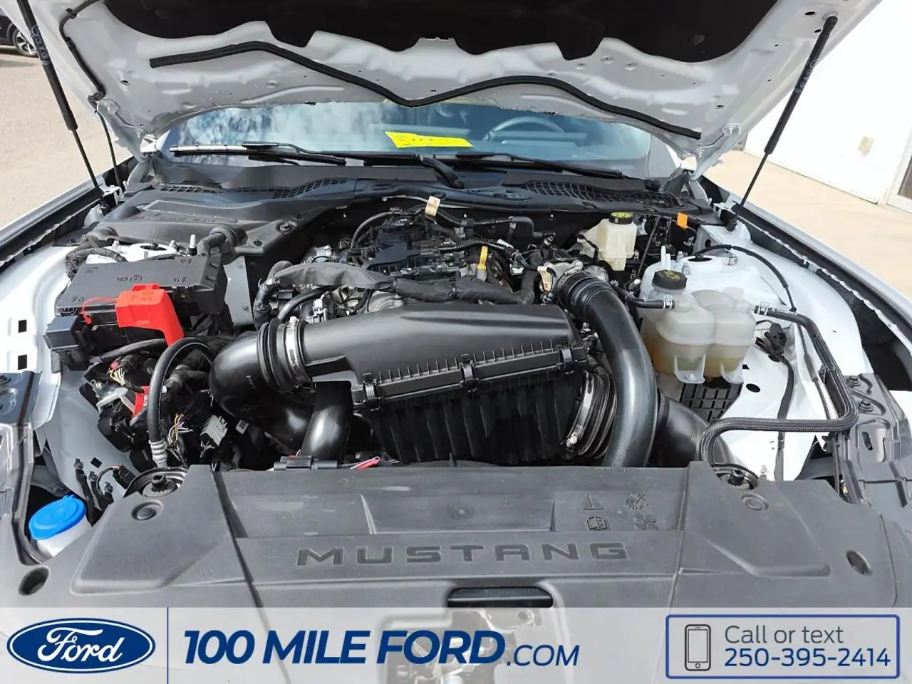 Ford Mustang - Image 20