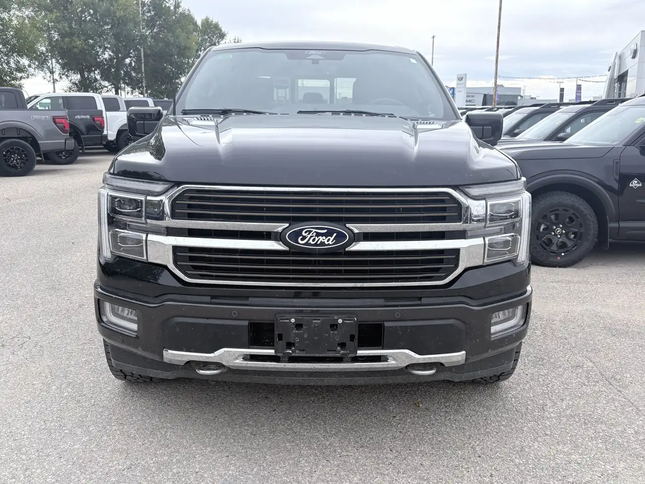 Ford F-150 - Image 3
