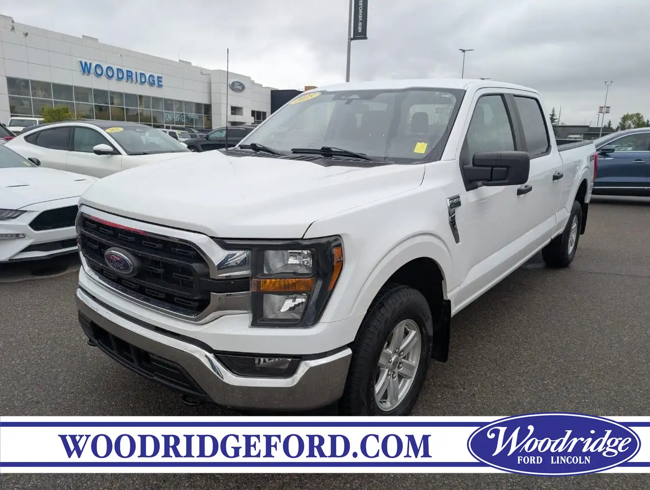 Ford F-150 - Image 1
