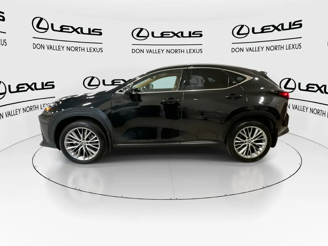 Lexus NX - Image 5