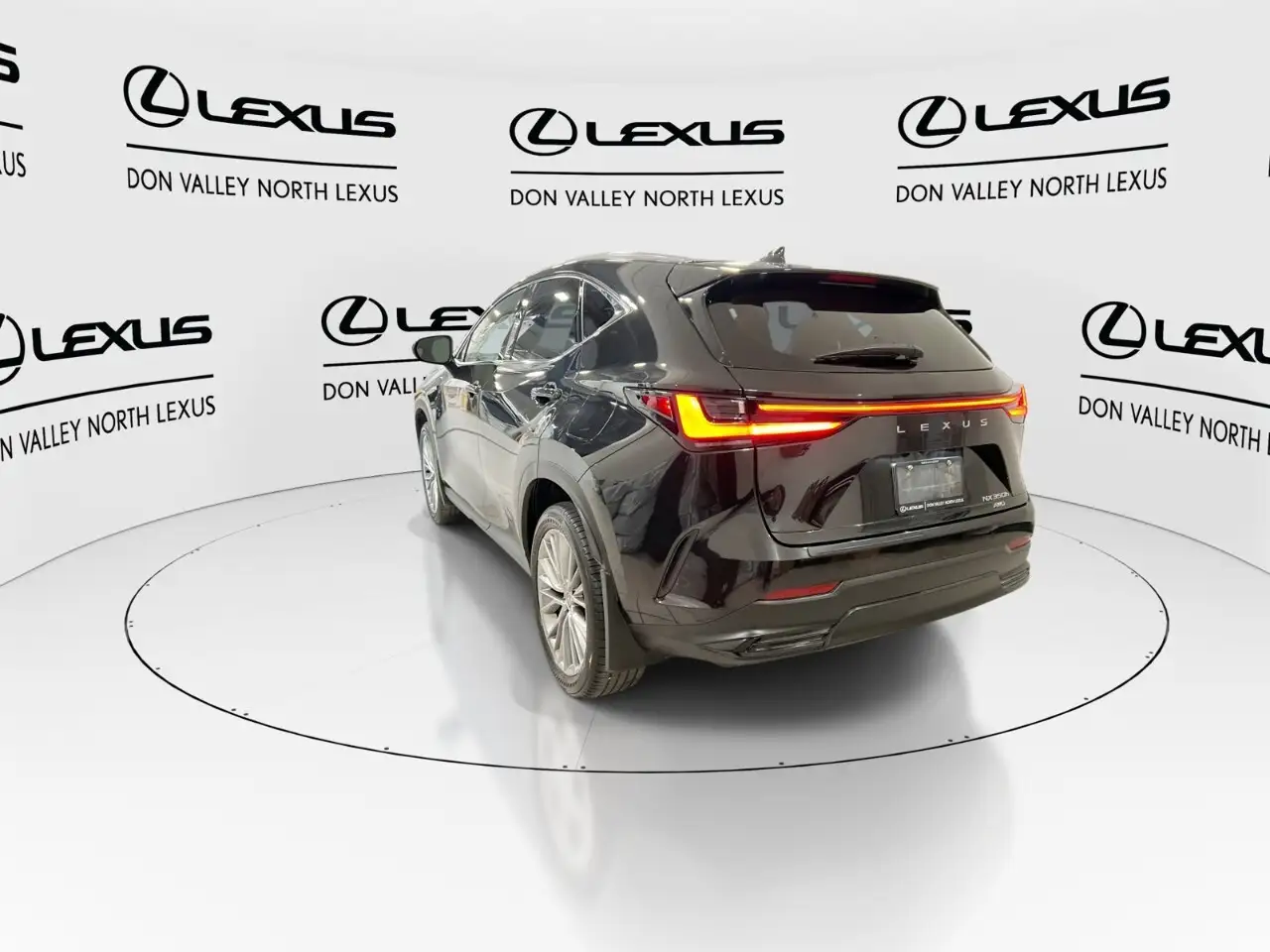 Lexus NX - Image 6