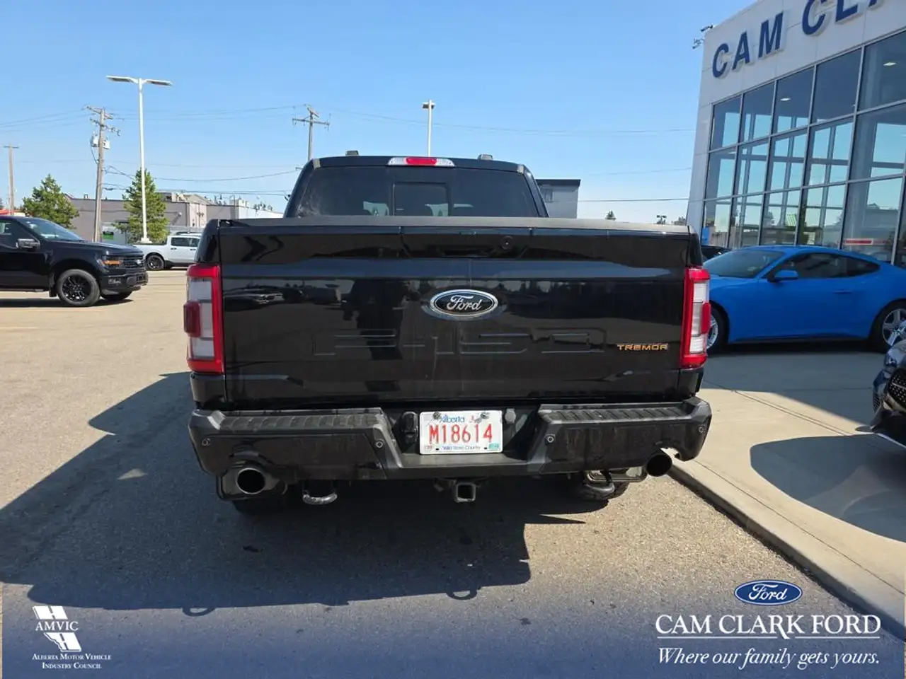 Ford F-150 - Image 5