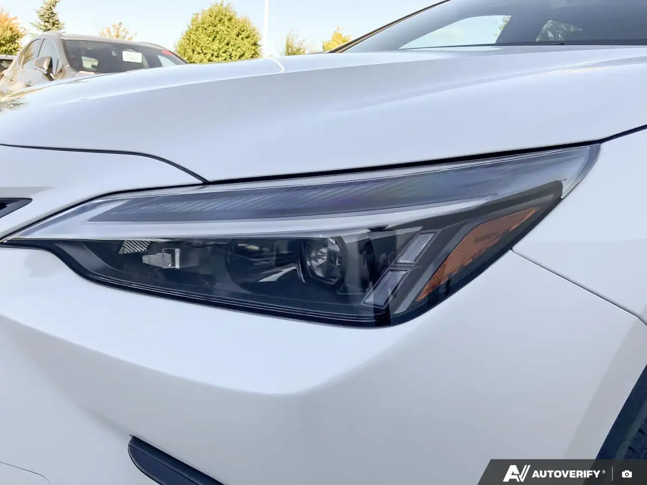 Lexus NX - Image 8
