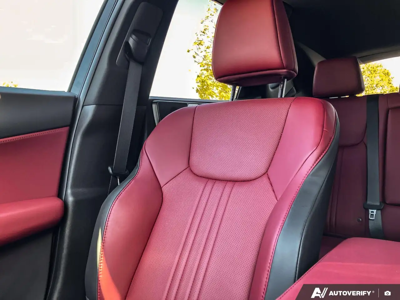 Lexus NX - Image 20