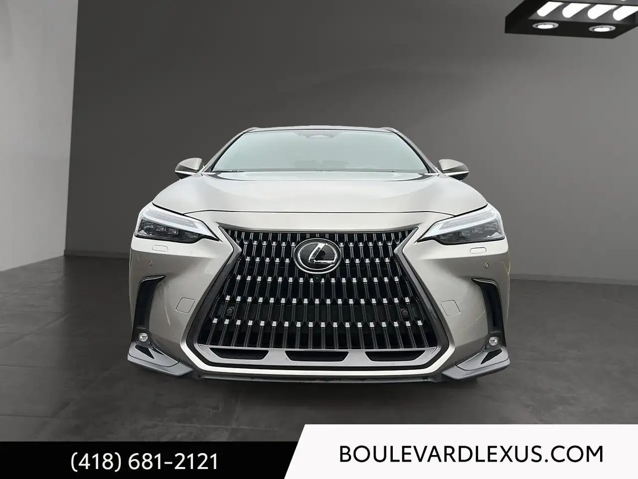 Lexus NX - Image 2