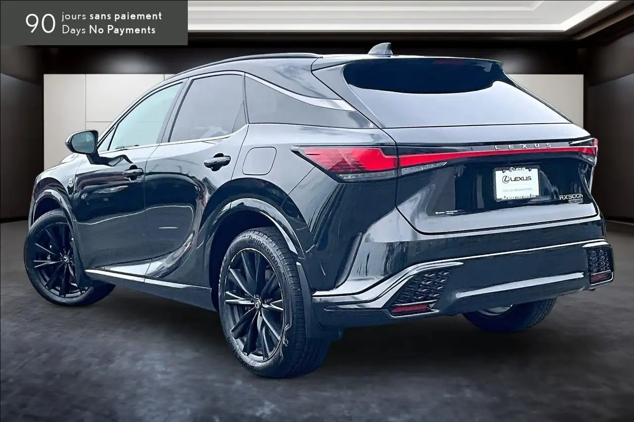 Lexus RX - Image 12