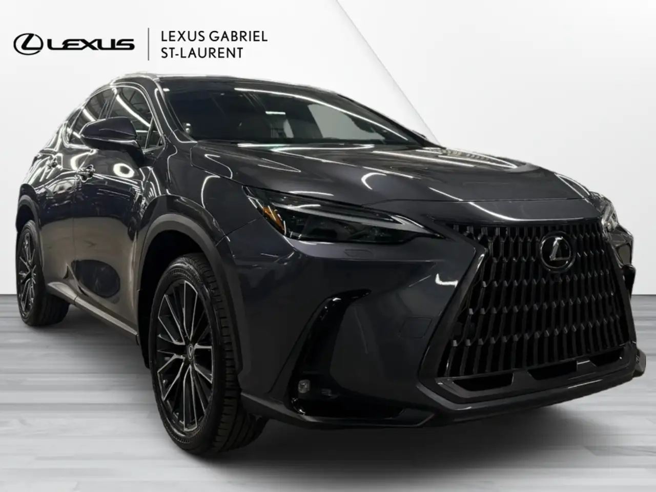 Lexus NX - Image 3