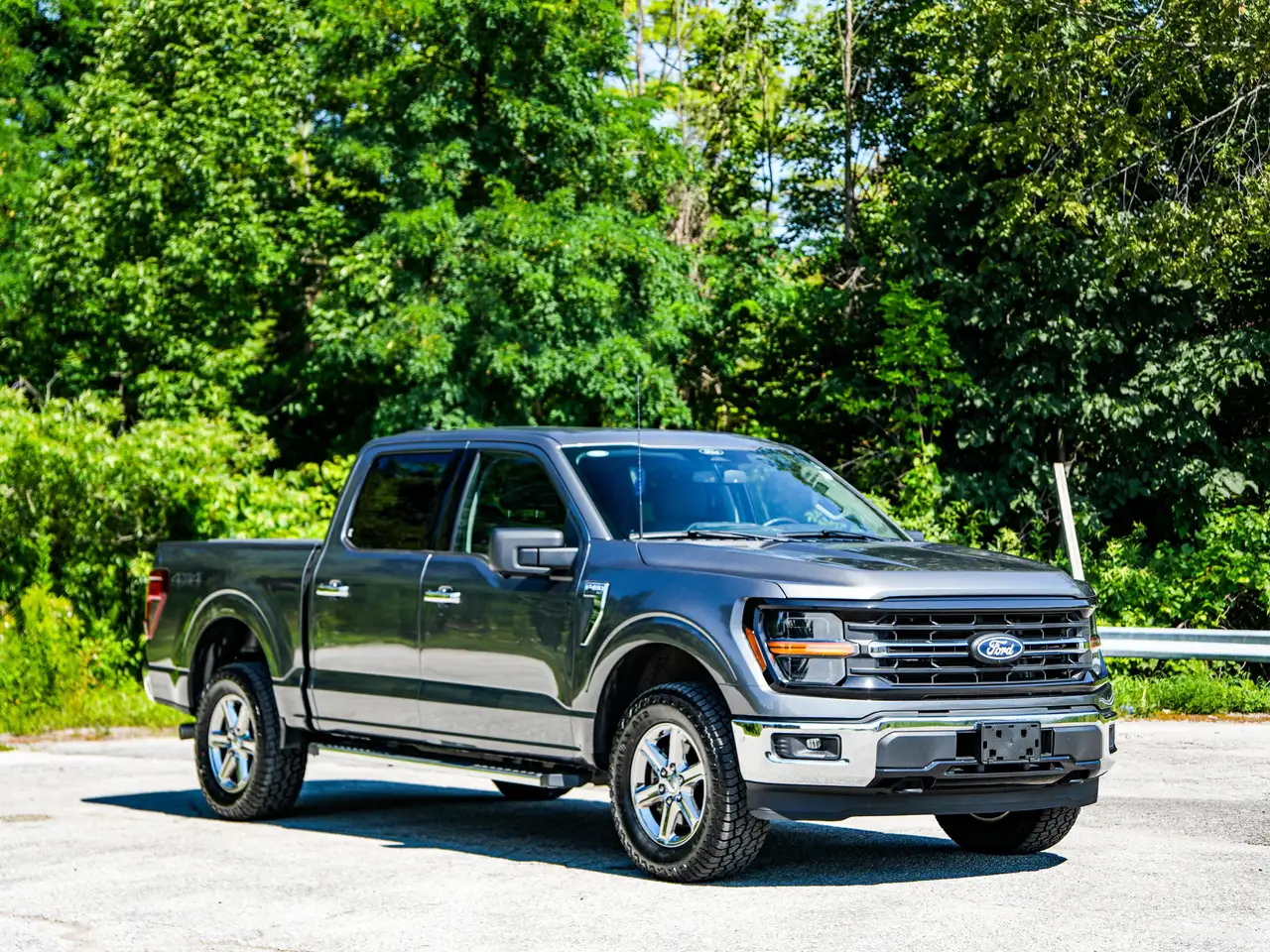 Ford F-150 - Image 3