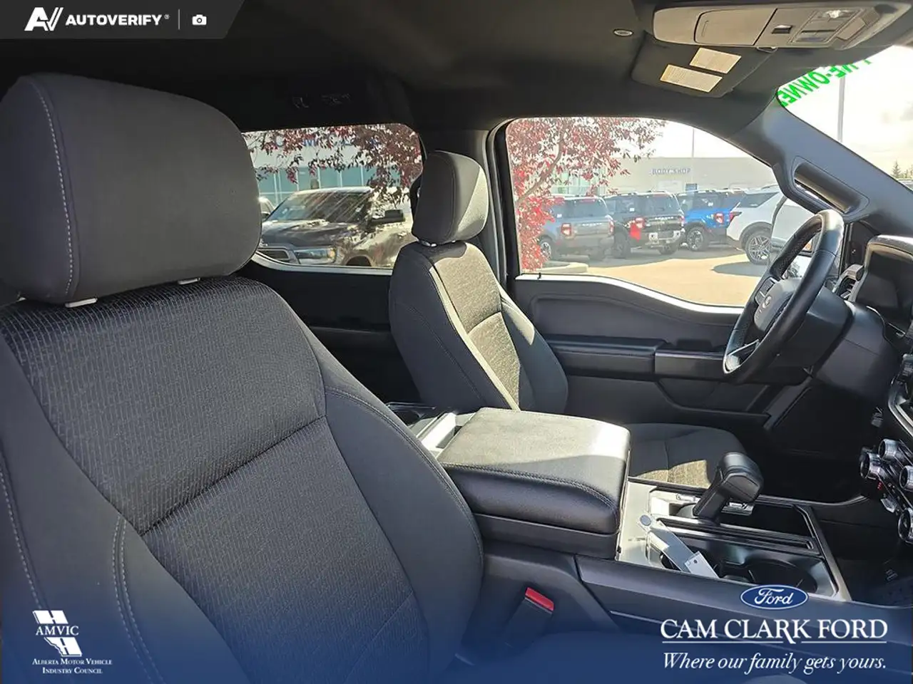 Ford F-150 - Image 22