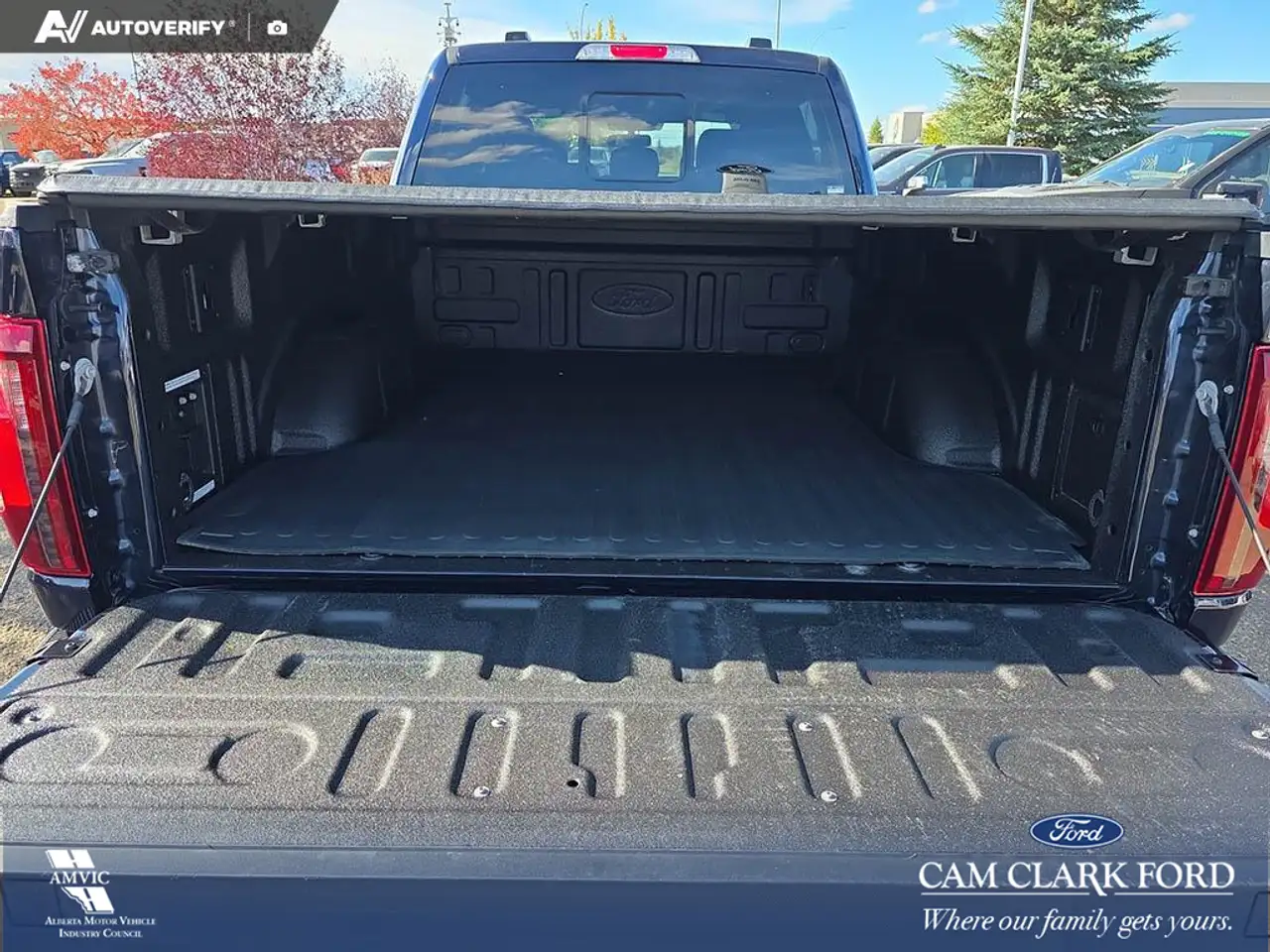 Ford F-150 - Image 12