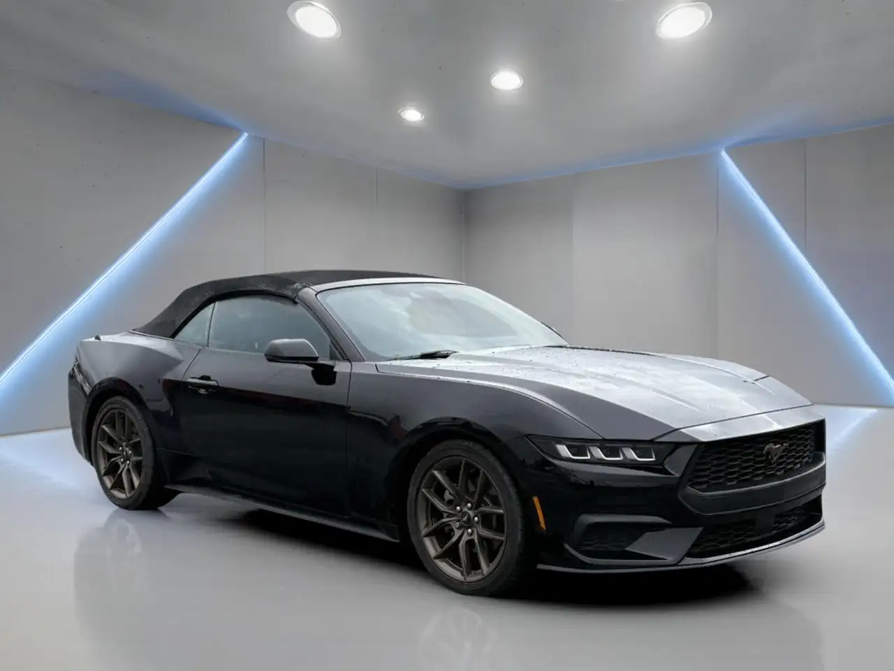 Ford Mustang - Image 4