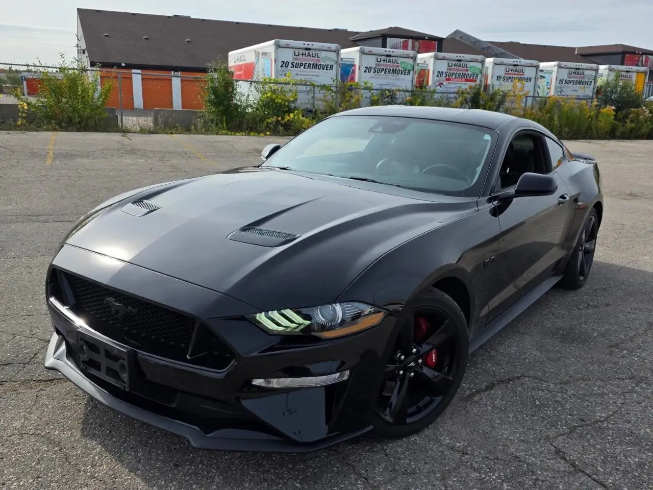 Ford Mustang - Image 1