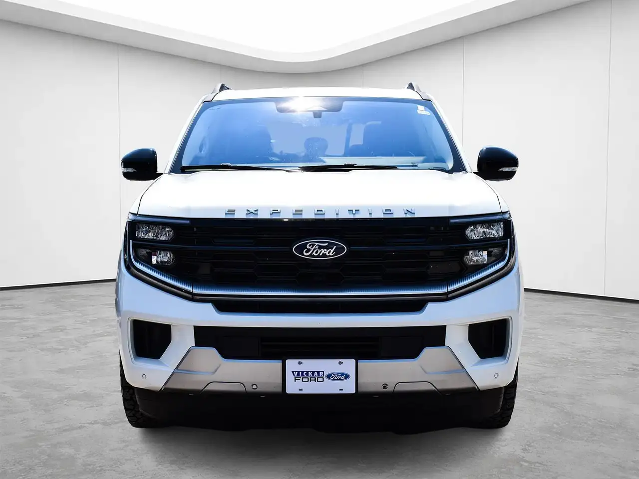 Ford Expedition - Image 2