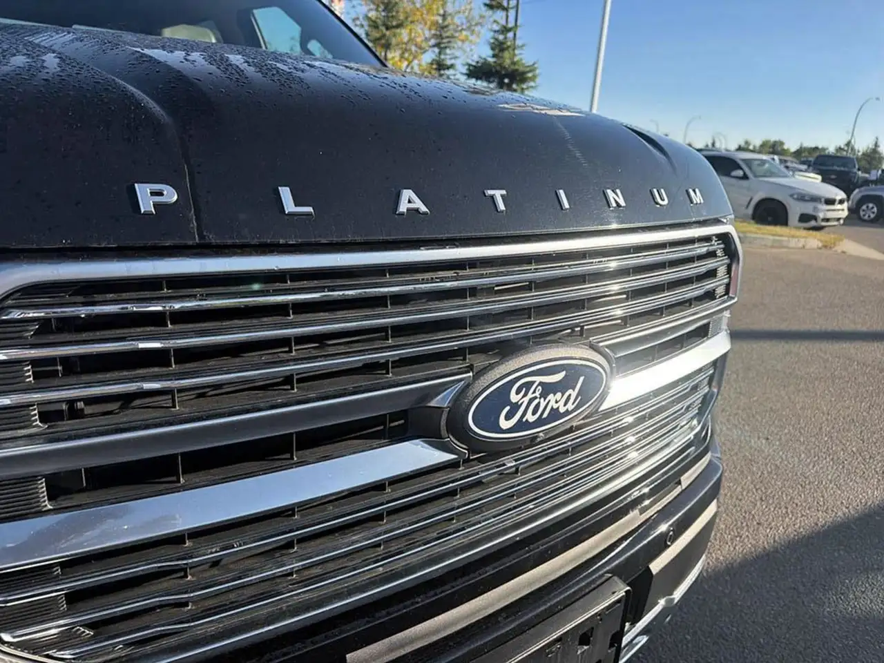 Ford F-150 - Image 8