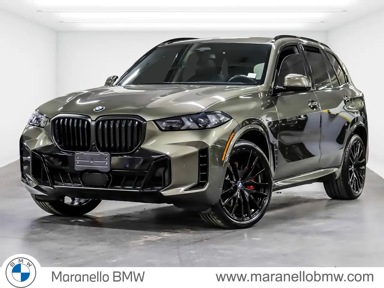 BMW X5 - Image 1