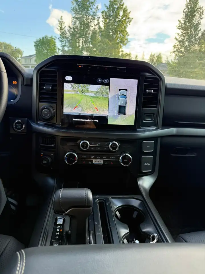Ford F-150 - Image 11