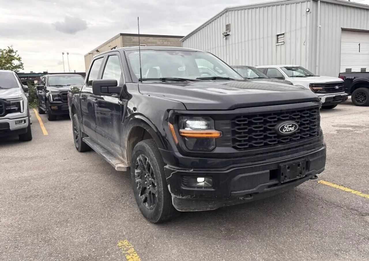 Ford F-150 - Image 2