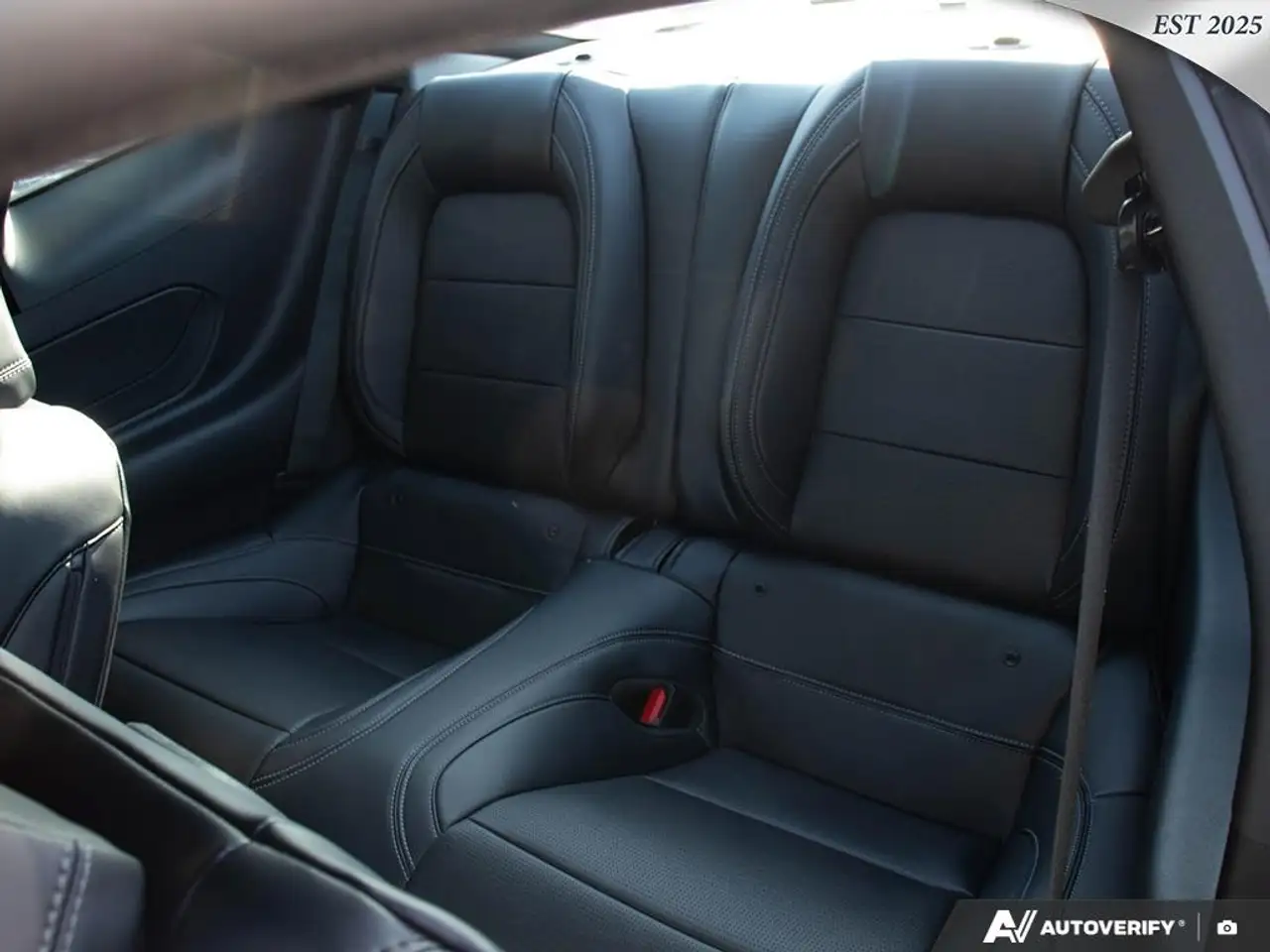 Ford Mustang - Image 24