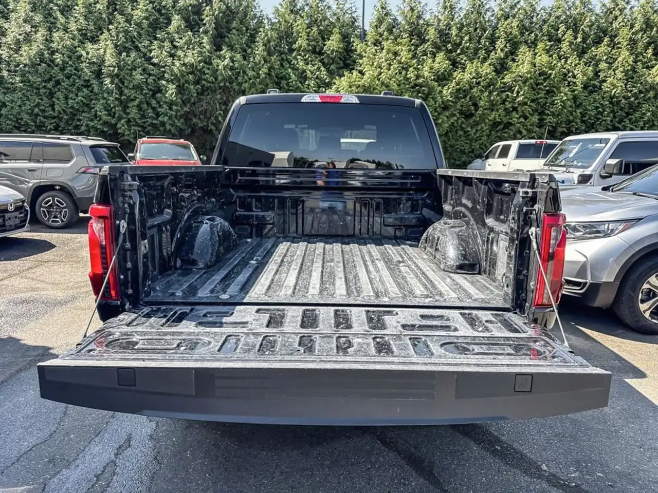 Ford F-150 - Image 12