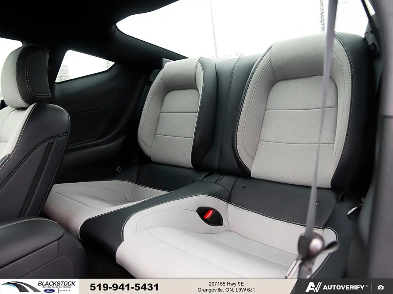 Ford Mustang - Image 26