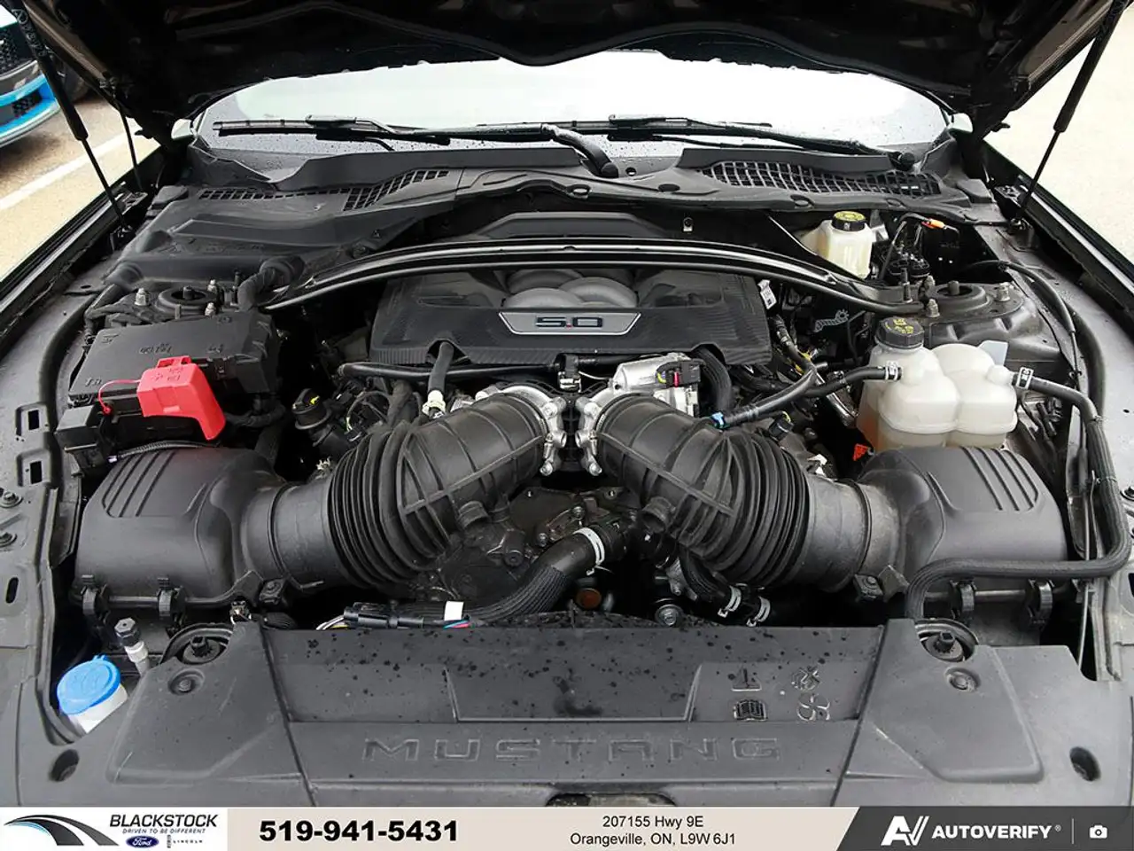 Ford Mustang - Image 9