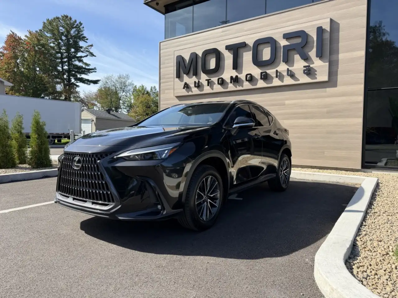 Lexus NX - Image 2