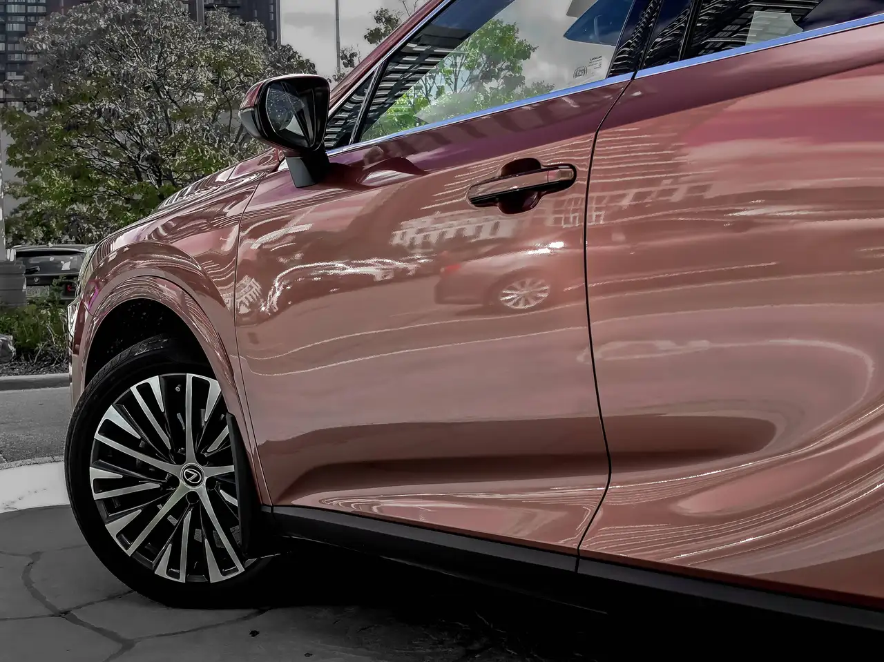Lexus RX - Image 6