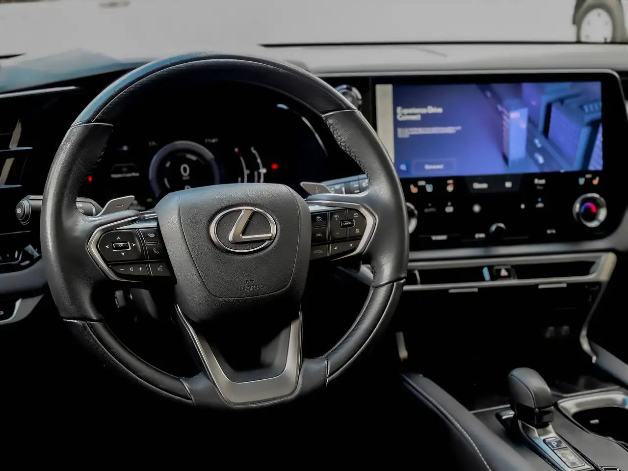 Lexus RX - Image 14