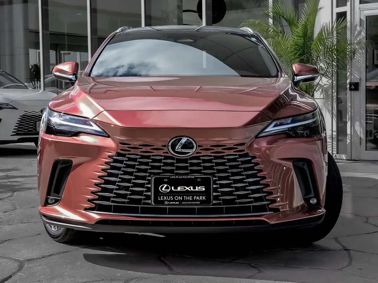 Lexus RX - Image 5