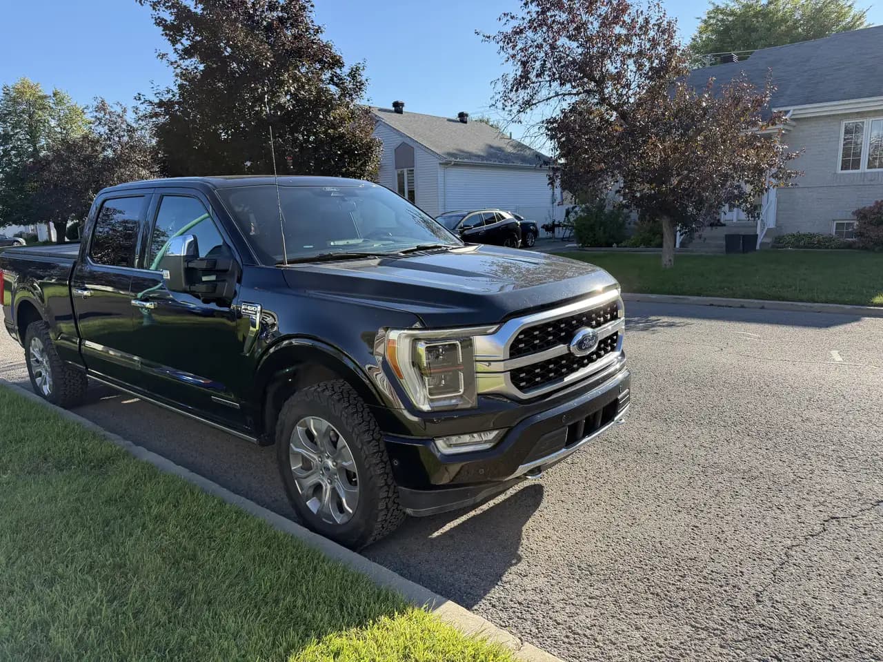 Ford F-150 - Image 1