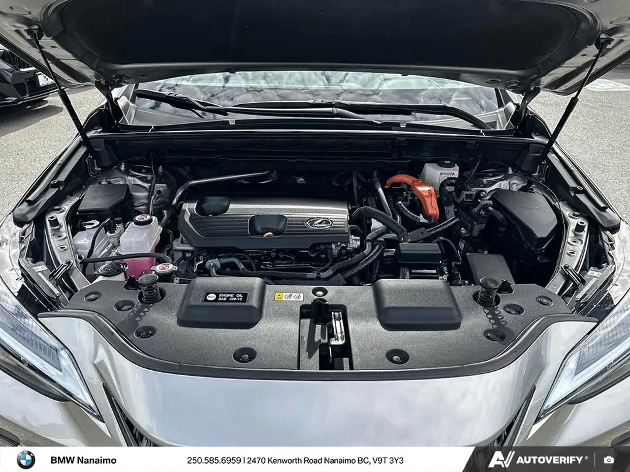 Lexus NX - Image 6
