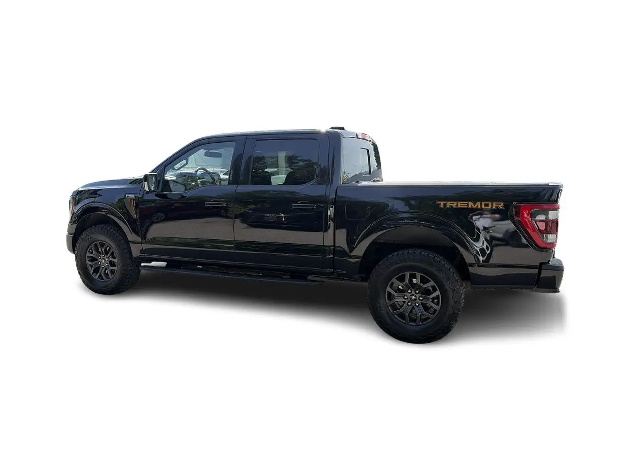 Ford F-150 - Image 9